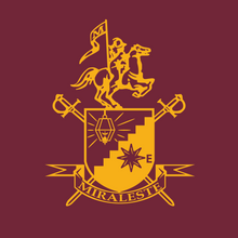Load image into Gallery viewer, Miraleste Crest Pullover
